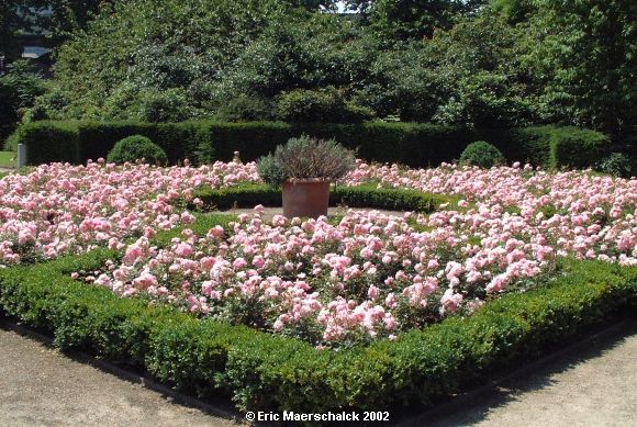 Jardin Botanique