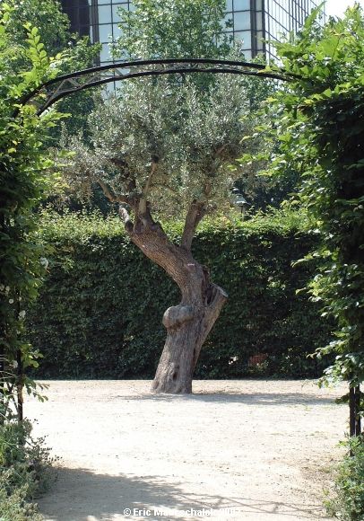 Jardin Botanique