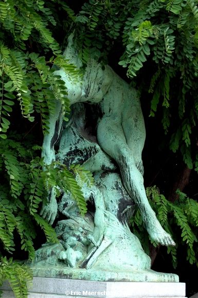 Jardin Botanique