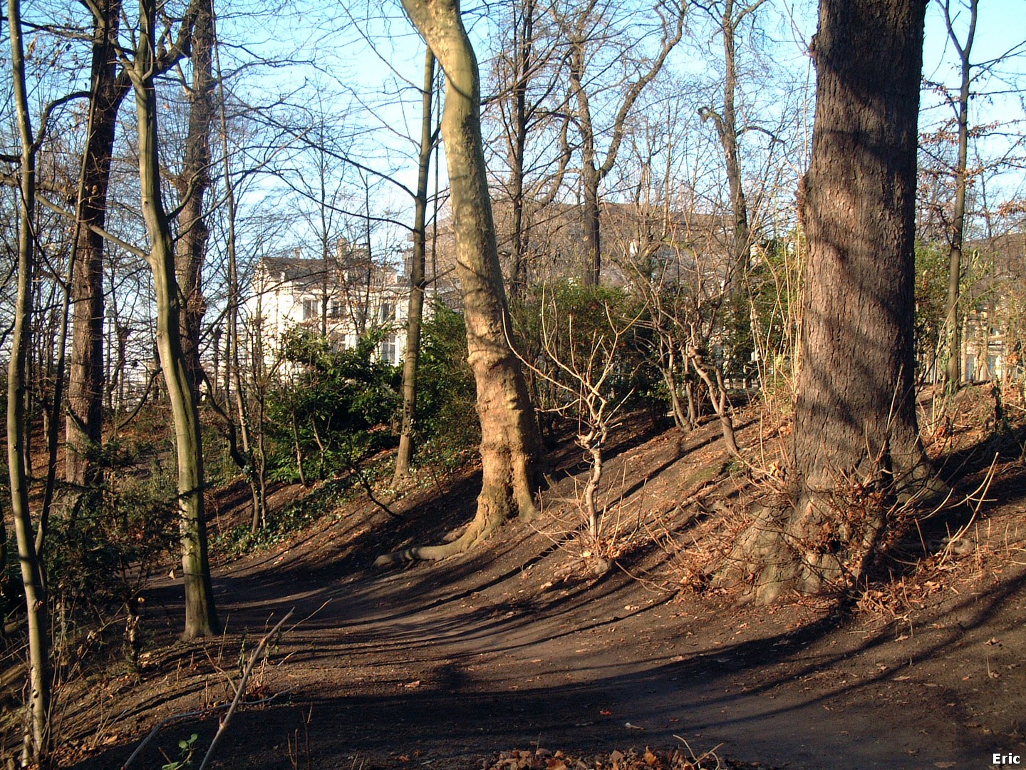 Parc de Bruxelles