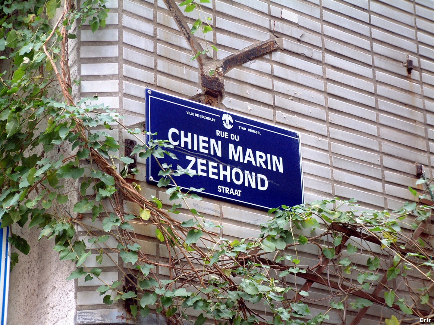 Rue du Chien Marin