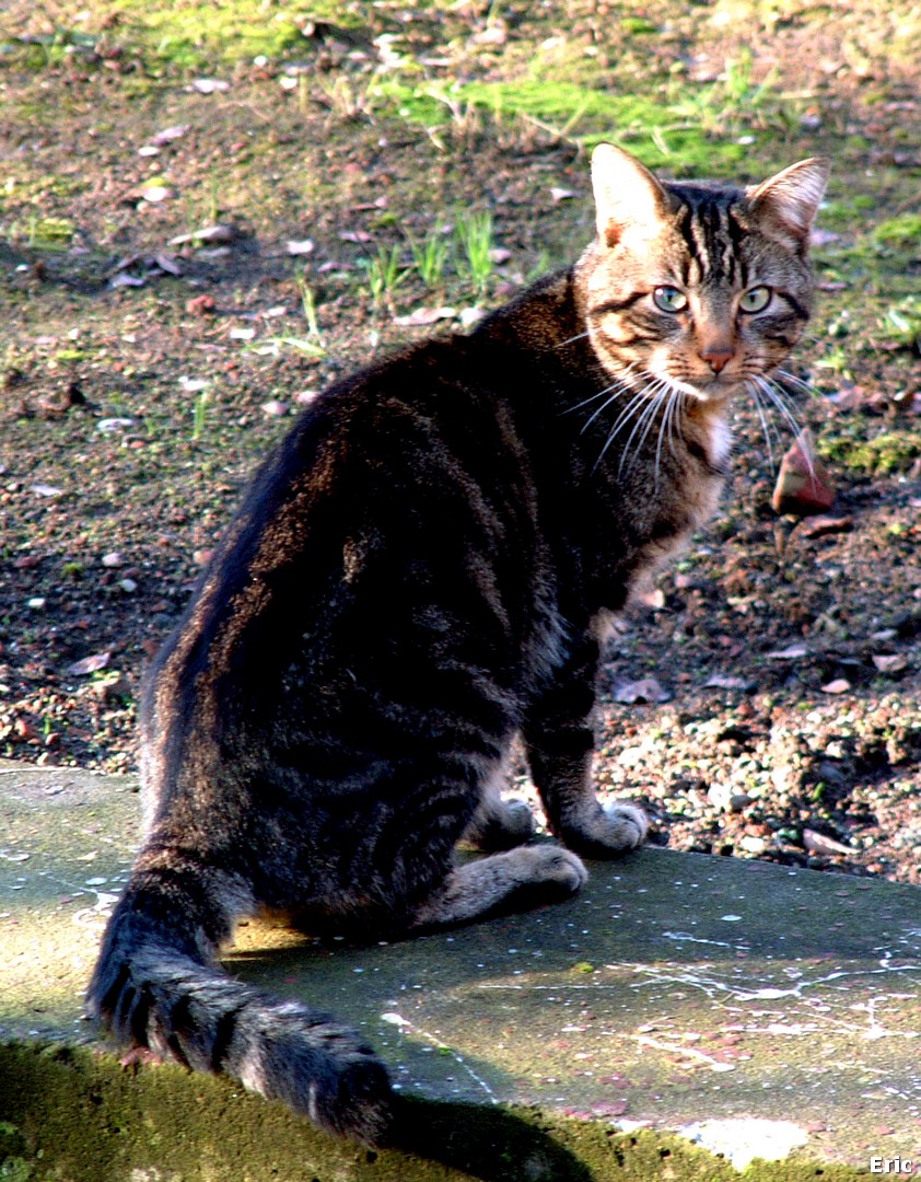 Muse de la Fonderie