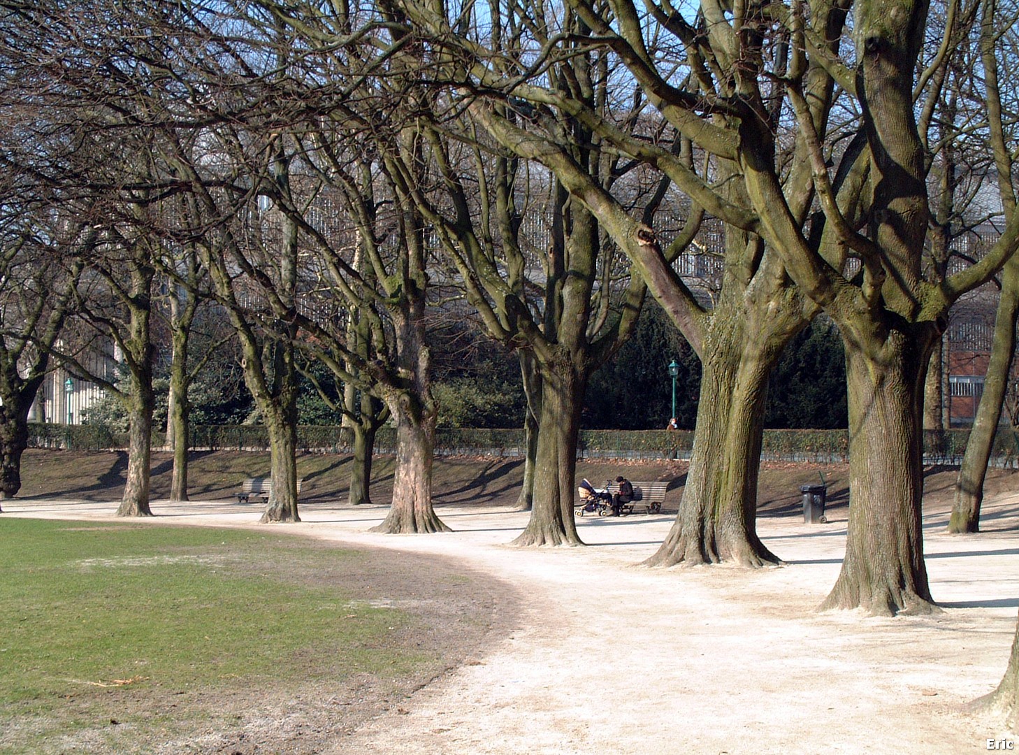 Parc du Cinquantenaire
