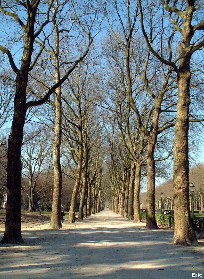 Parc Elisabeth