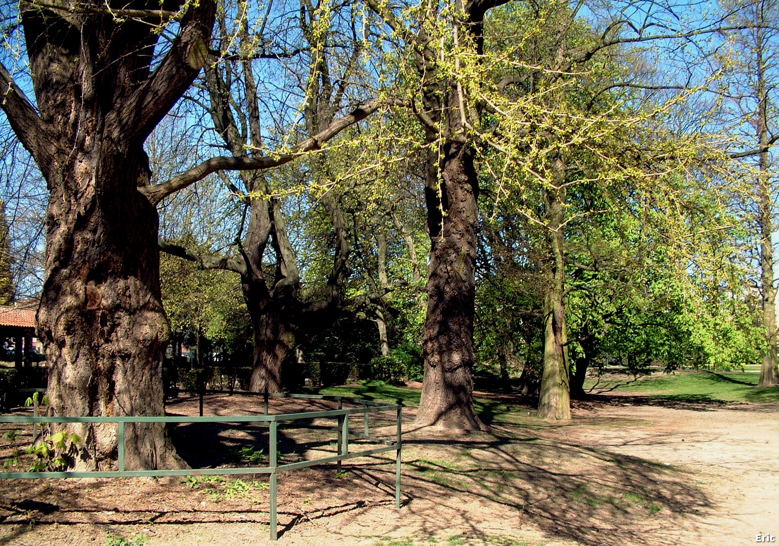 Parc des Muses