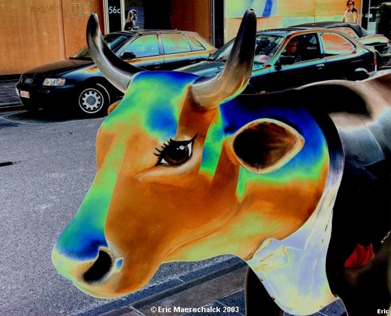 Les Vaches folles