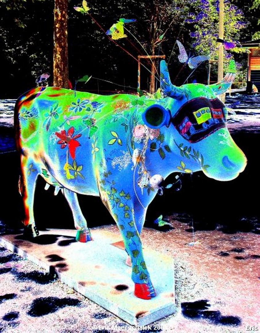 Les Vaches folles