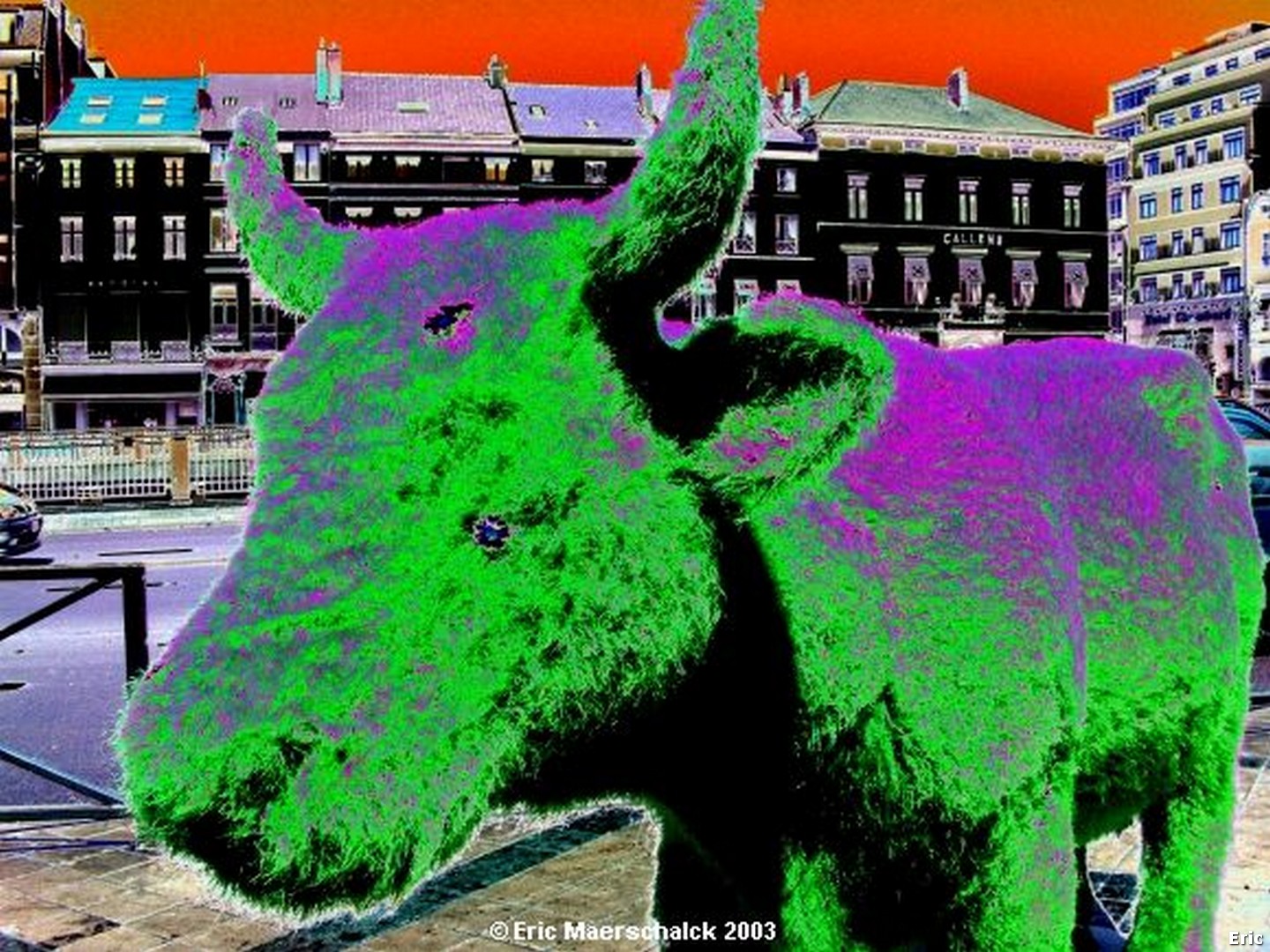 Les Vaches folles
