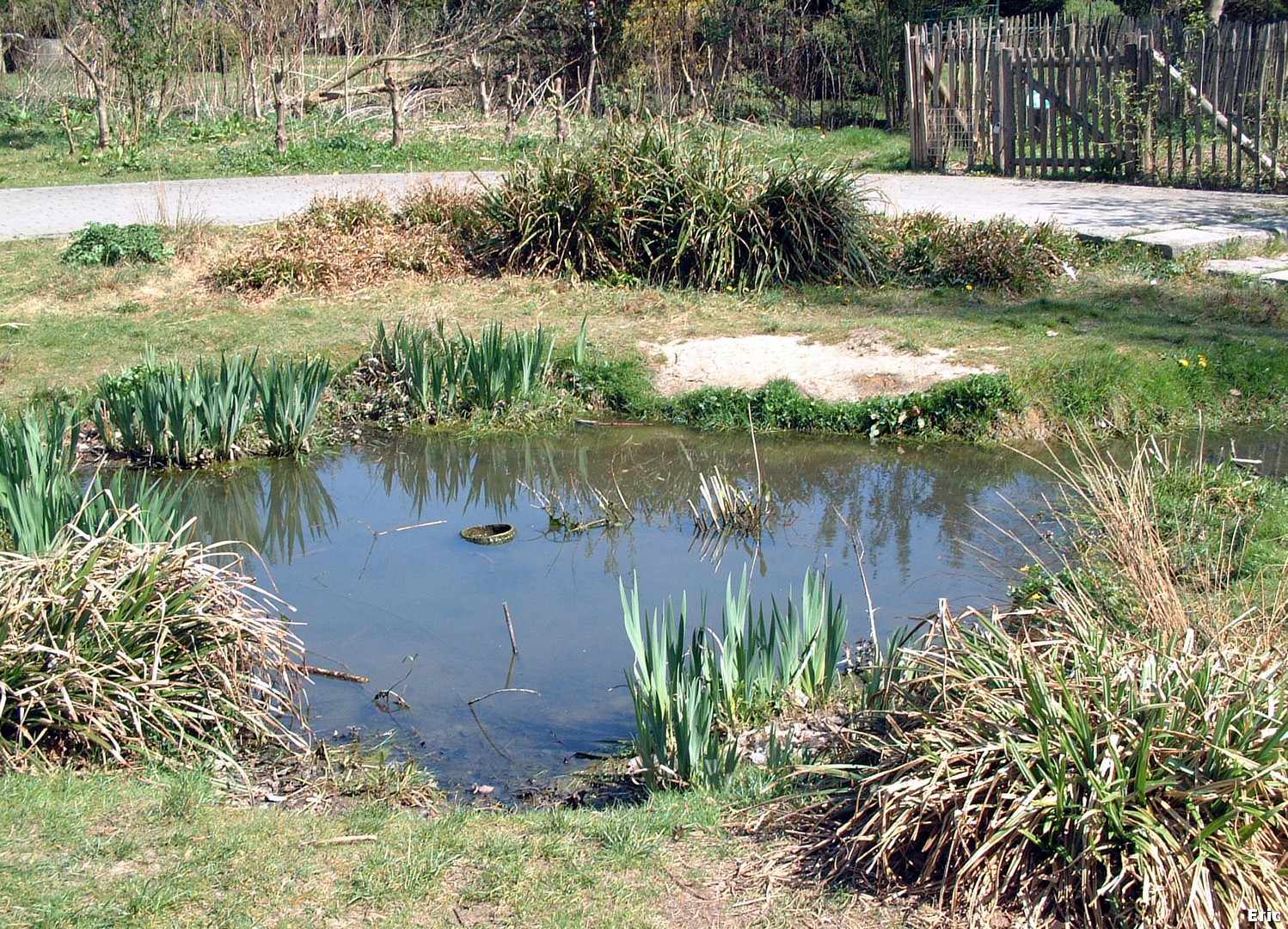 Parc de la Héronnière