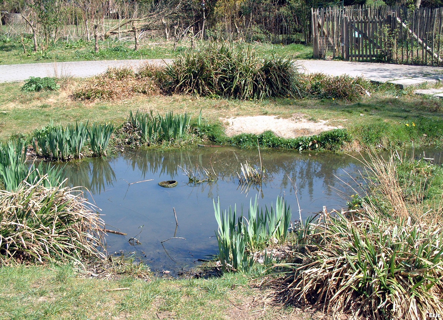 Parc de la Hronnire