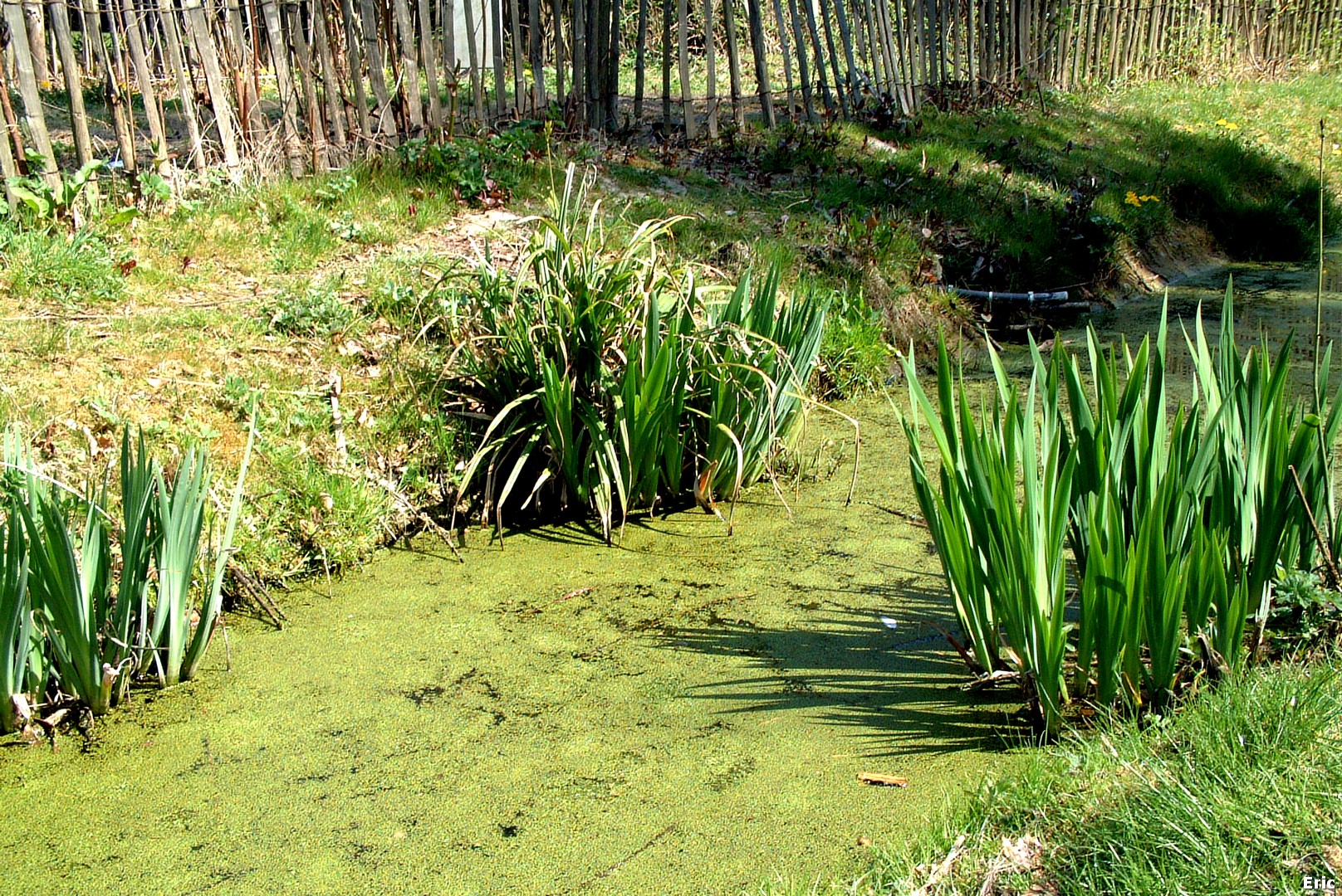 Parc de la Héronnière