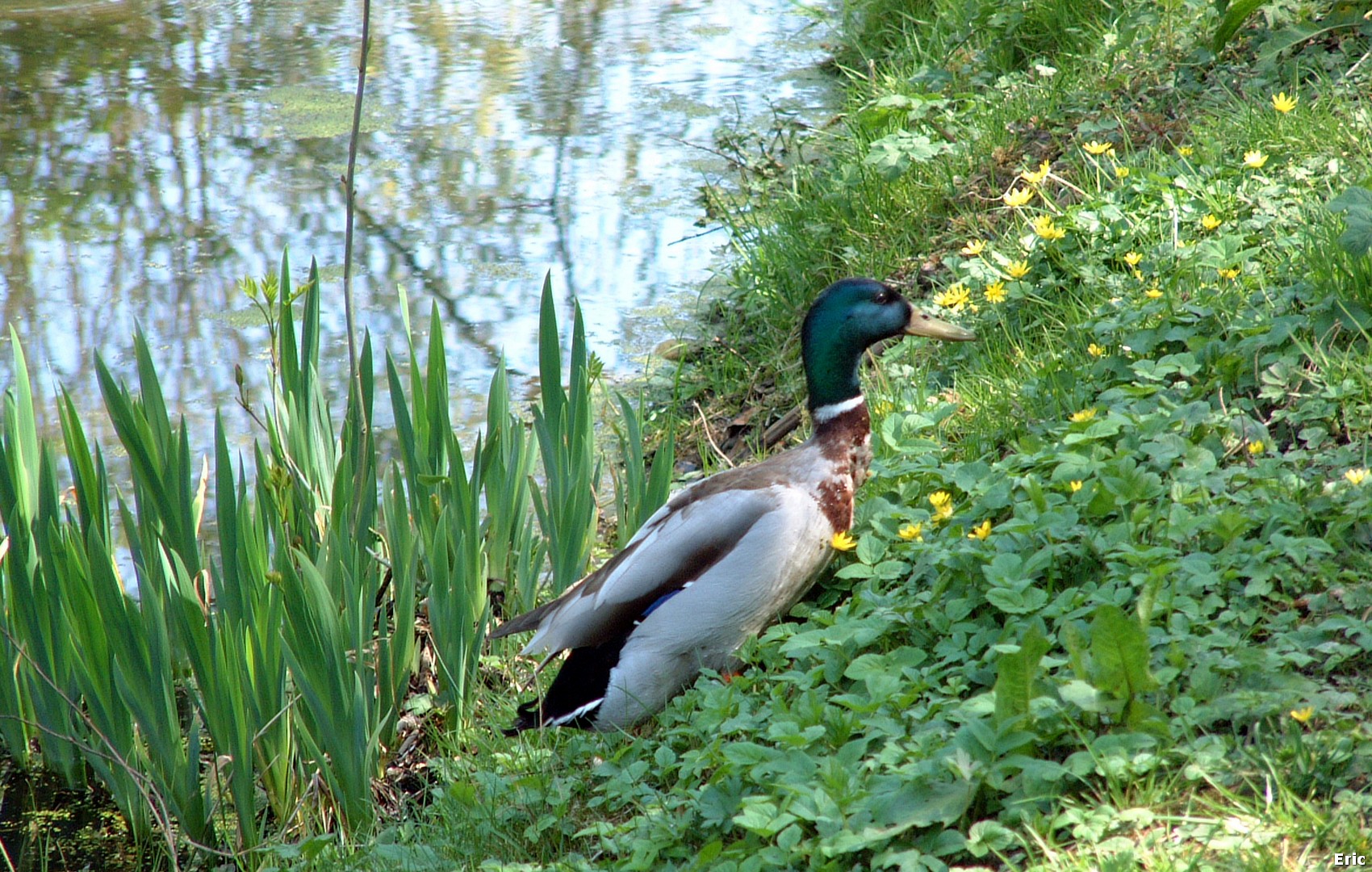 Parc de la Hronnire