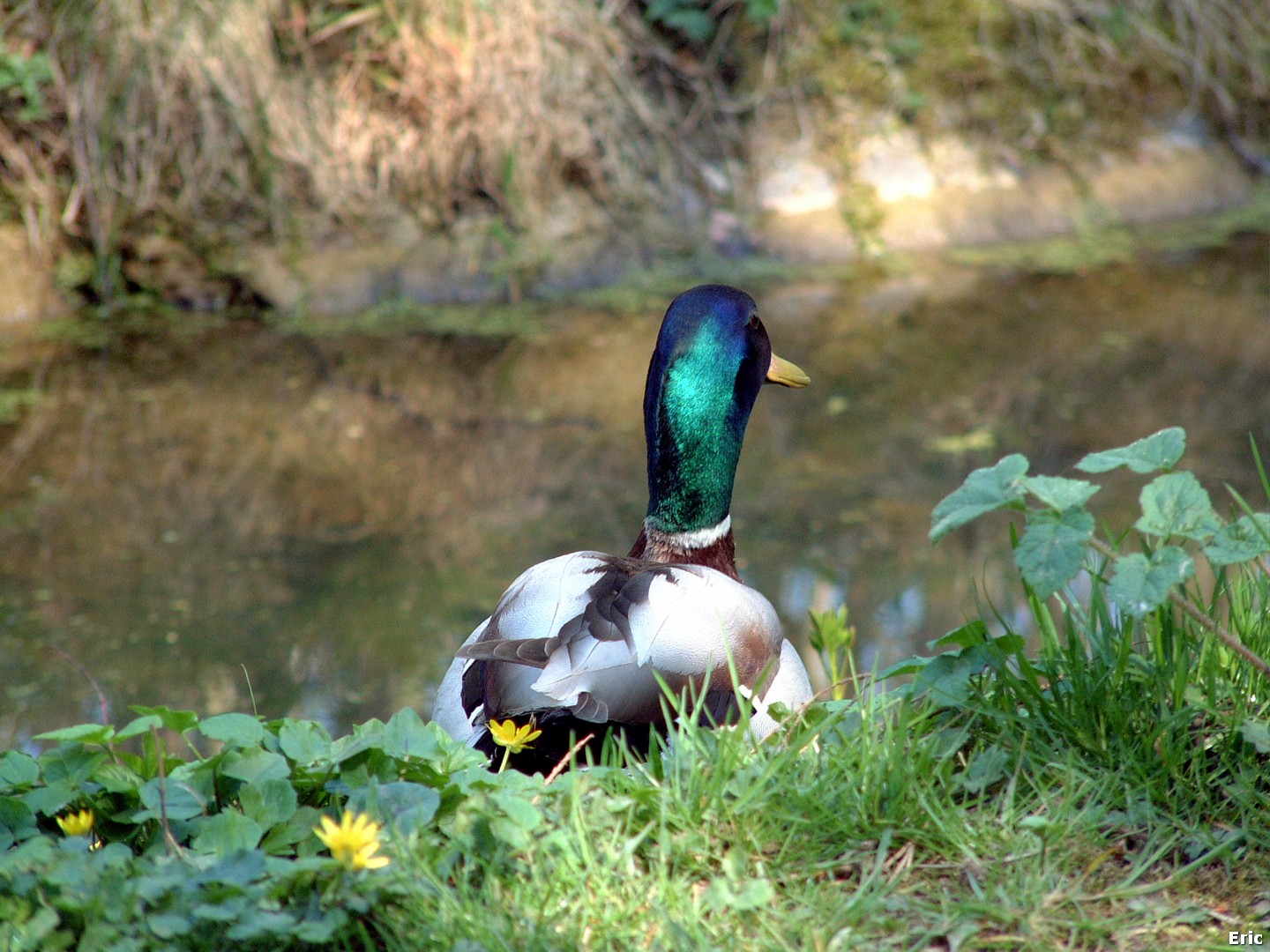 Parc de la Héronnière