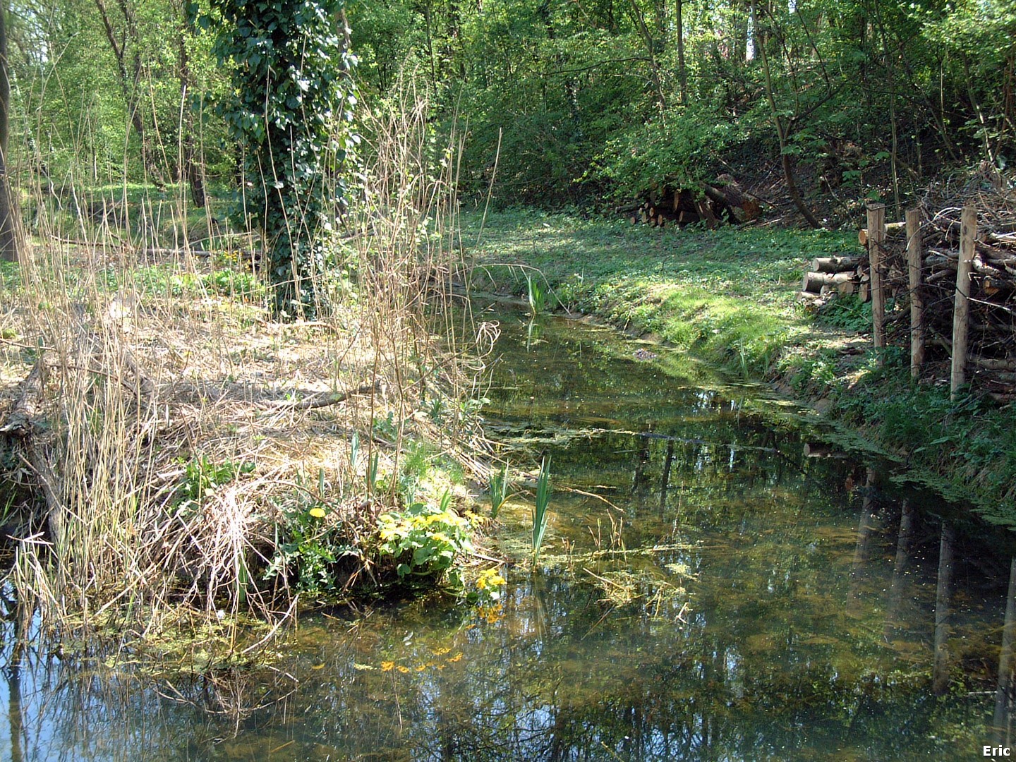 Parc de la Héronnière