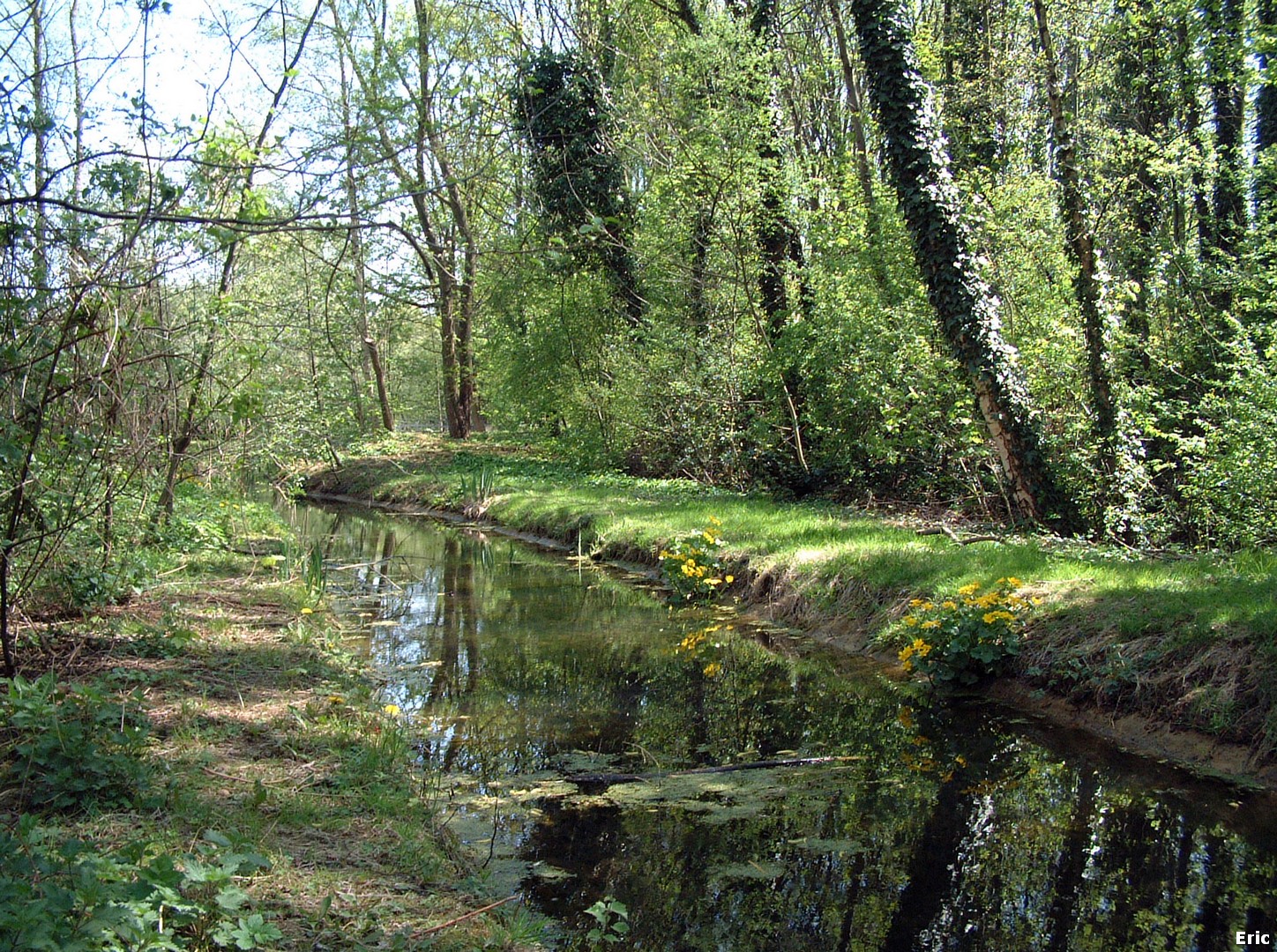 Parc de la Héronnière