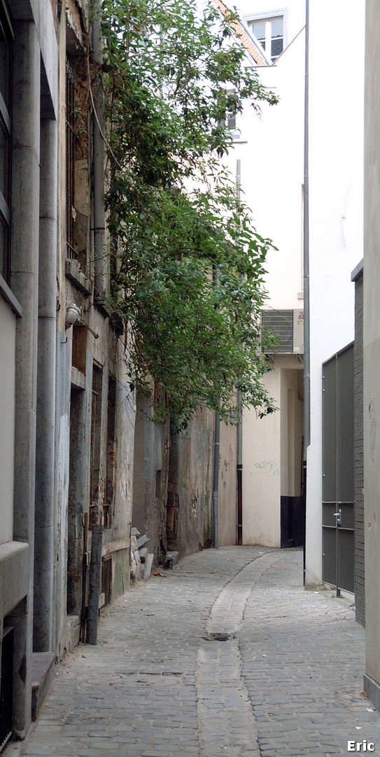 Petite rue de la Violette