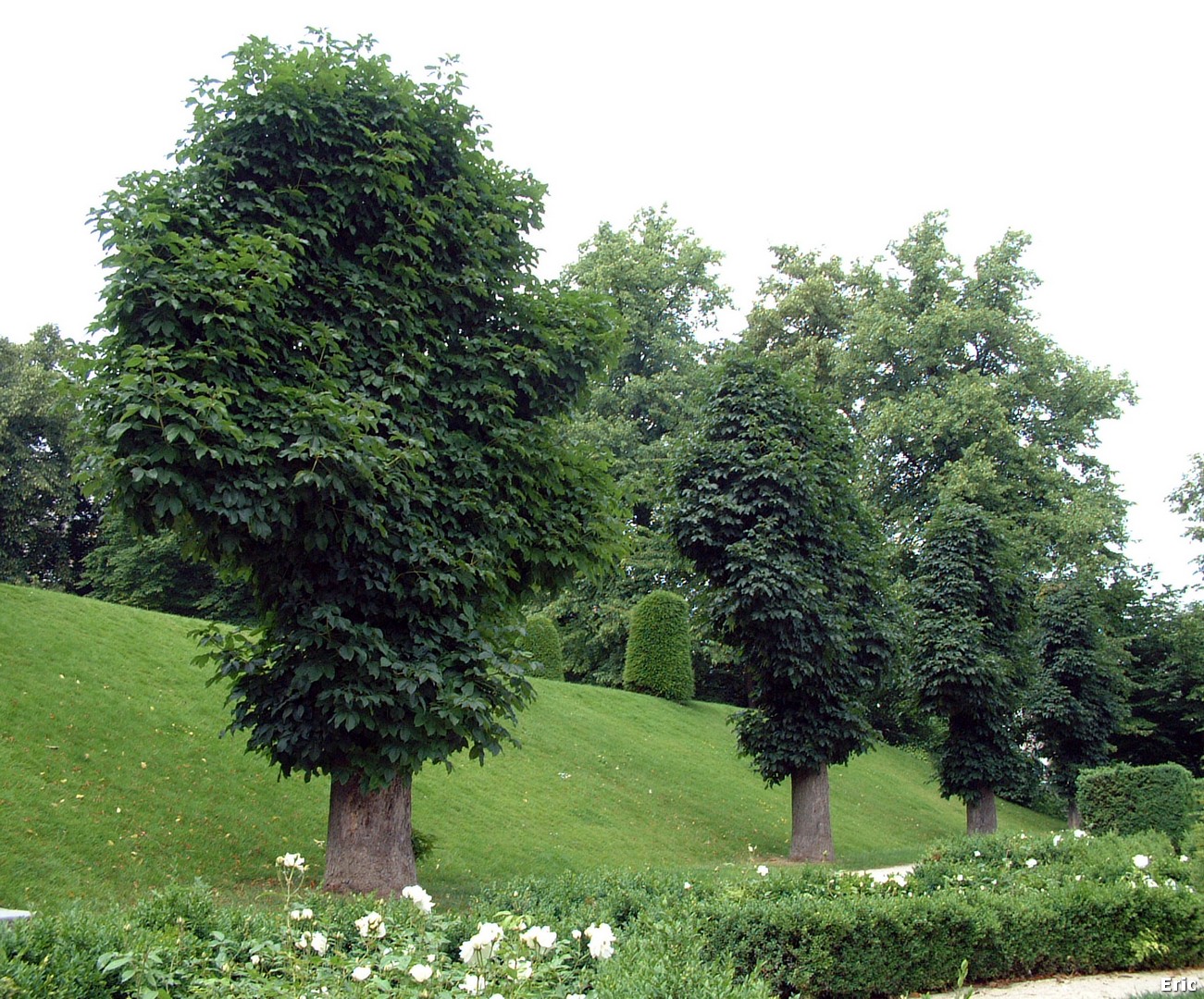 Abbaye de La Cambre