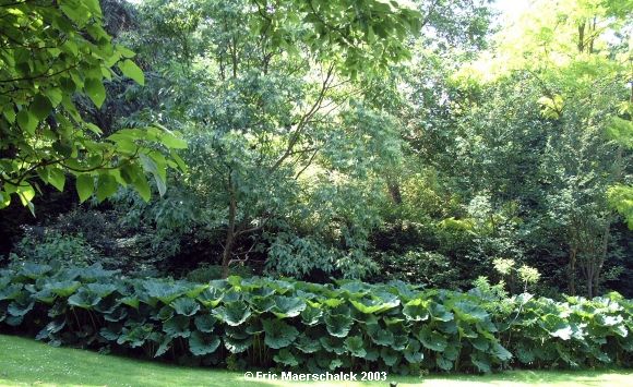 Parc Tenbosch