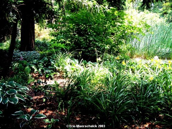 Parc Tenbosch