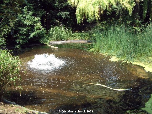 Parc Tenbosch