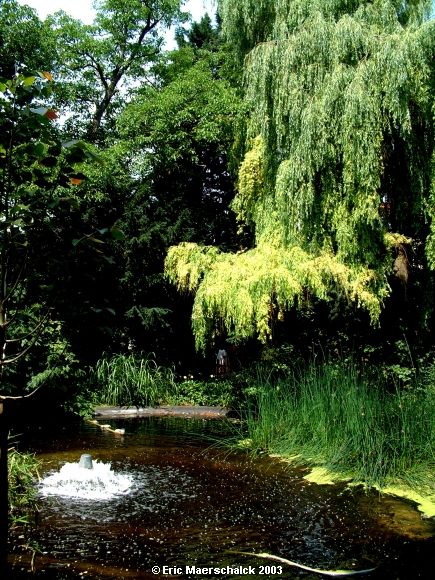 Parc Tenbosch