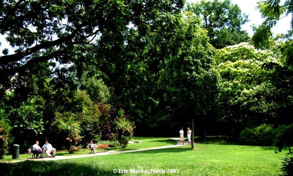 Parc Tenbosch