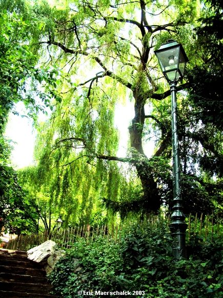 Parc Tenbosch