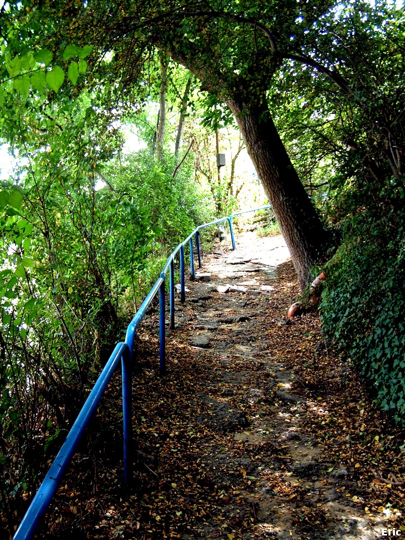 Chauss�e de Wavre (Auderghem)