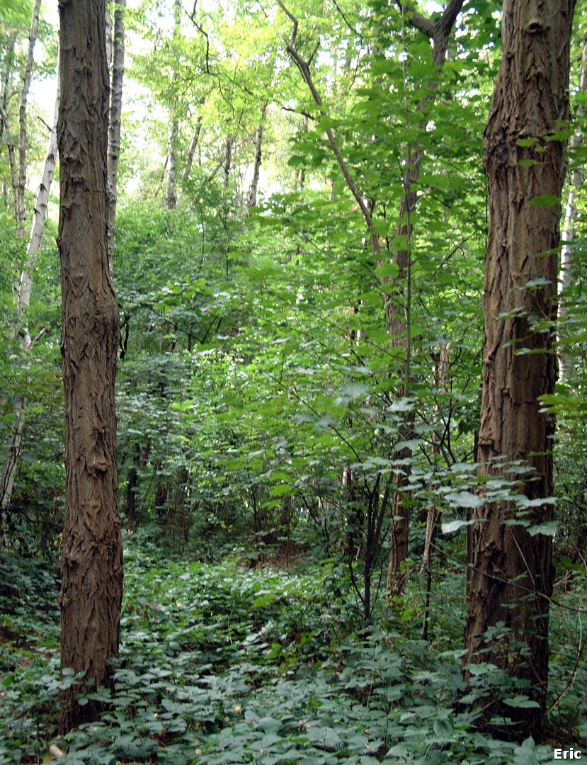 Parc et Chteau Malou