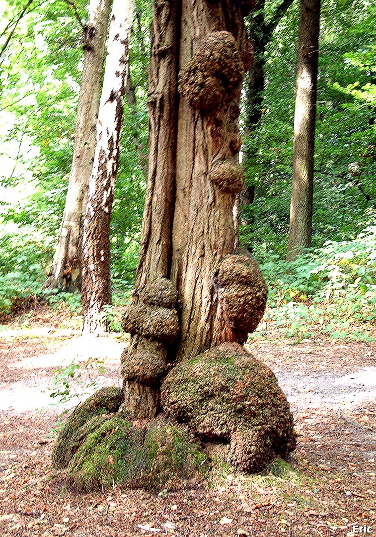 Parc et Château Malou