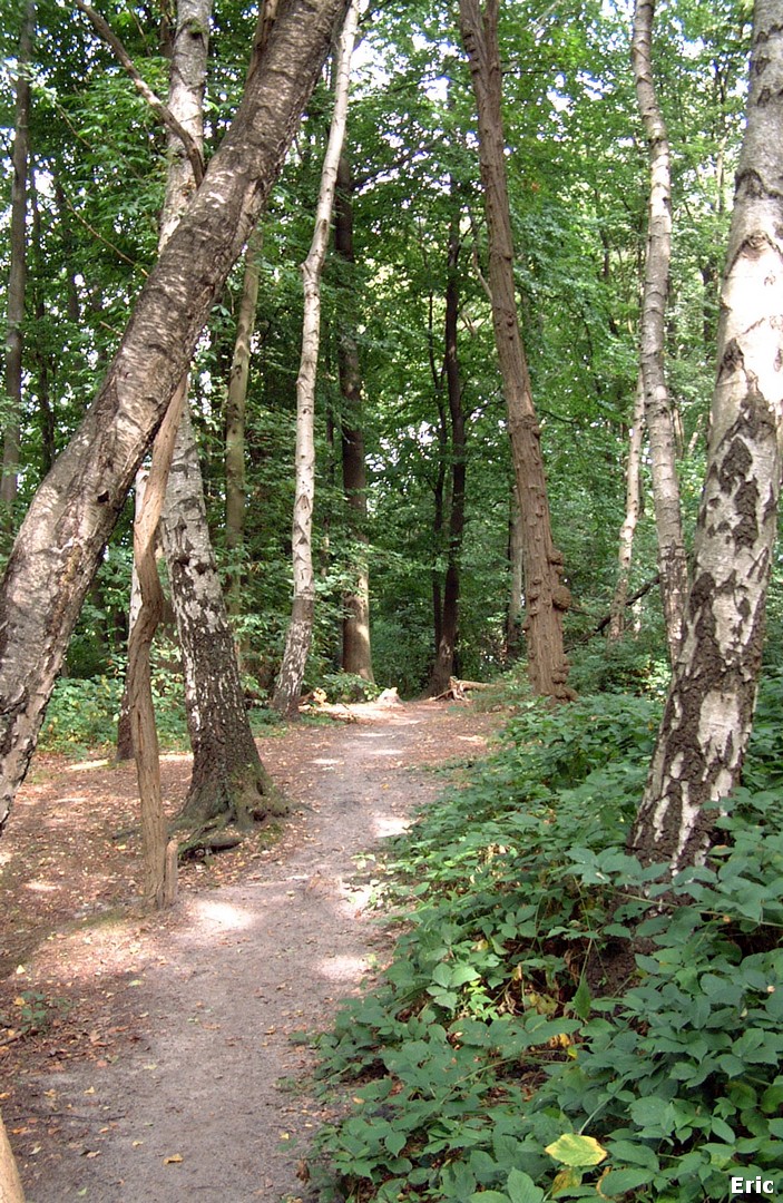 Parc et Château Malou