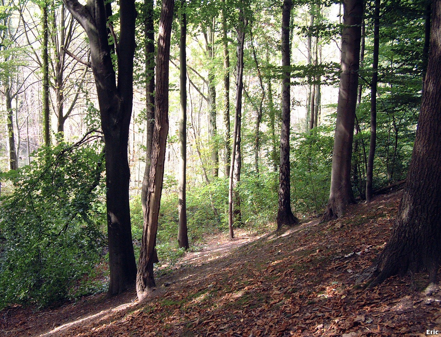 Parc et Chteau Malou