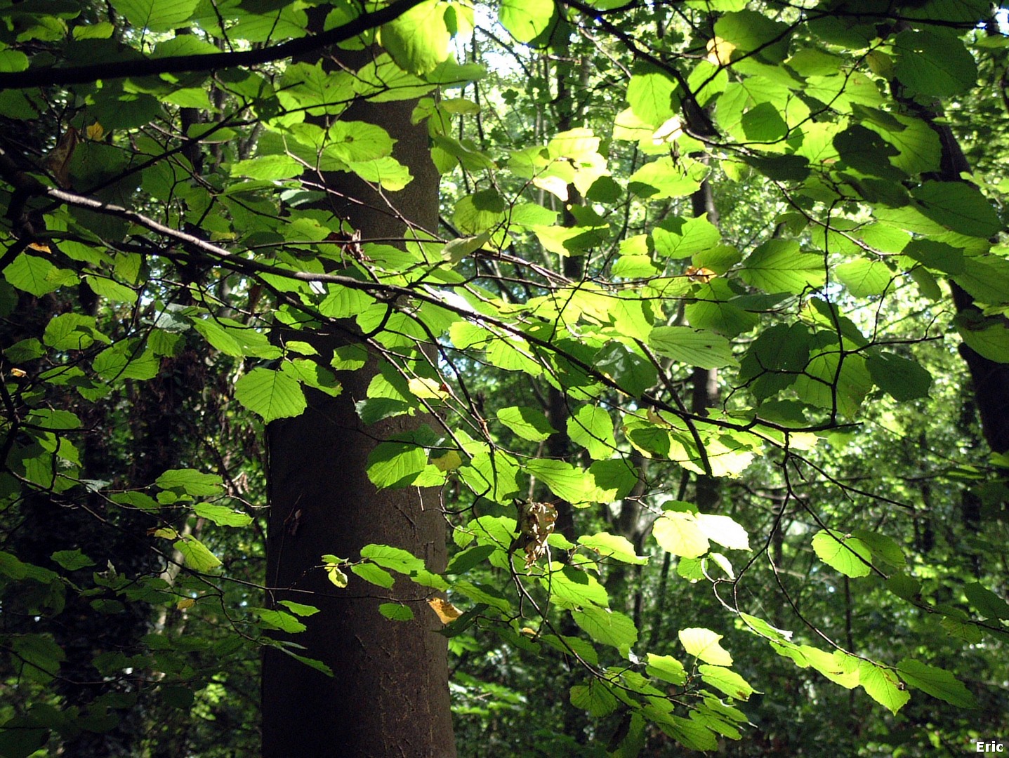 Parc et Ch�teau Malou