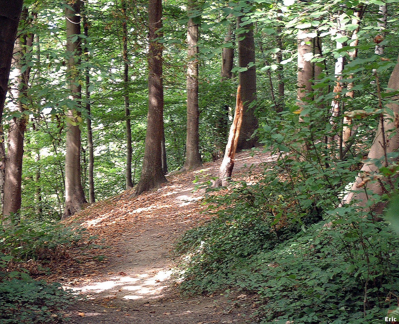 Parc et Chteau Malou