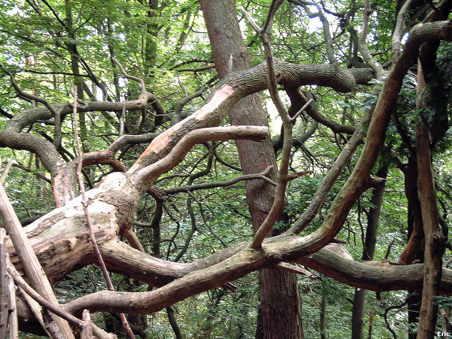 Parc et Ch�teau Malou