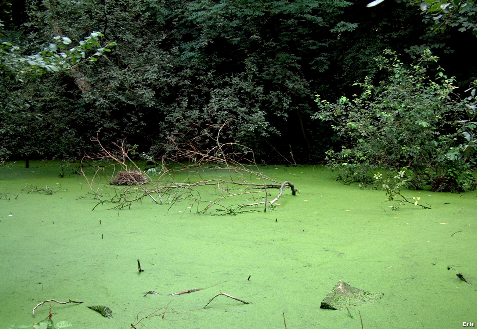 Parc et Ch�teau Malou