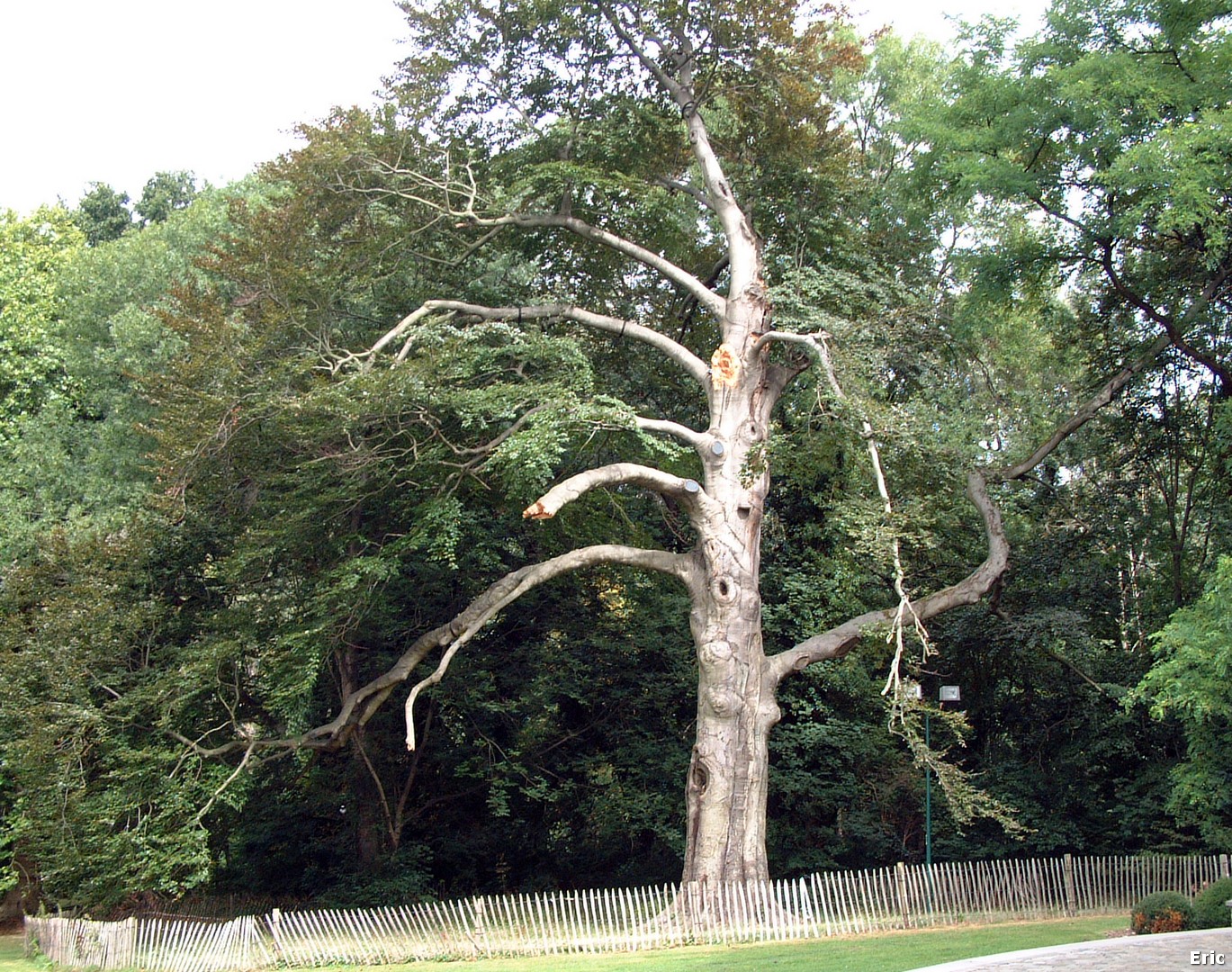 Parc et Chteau Malou