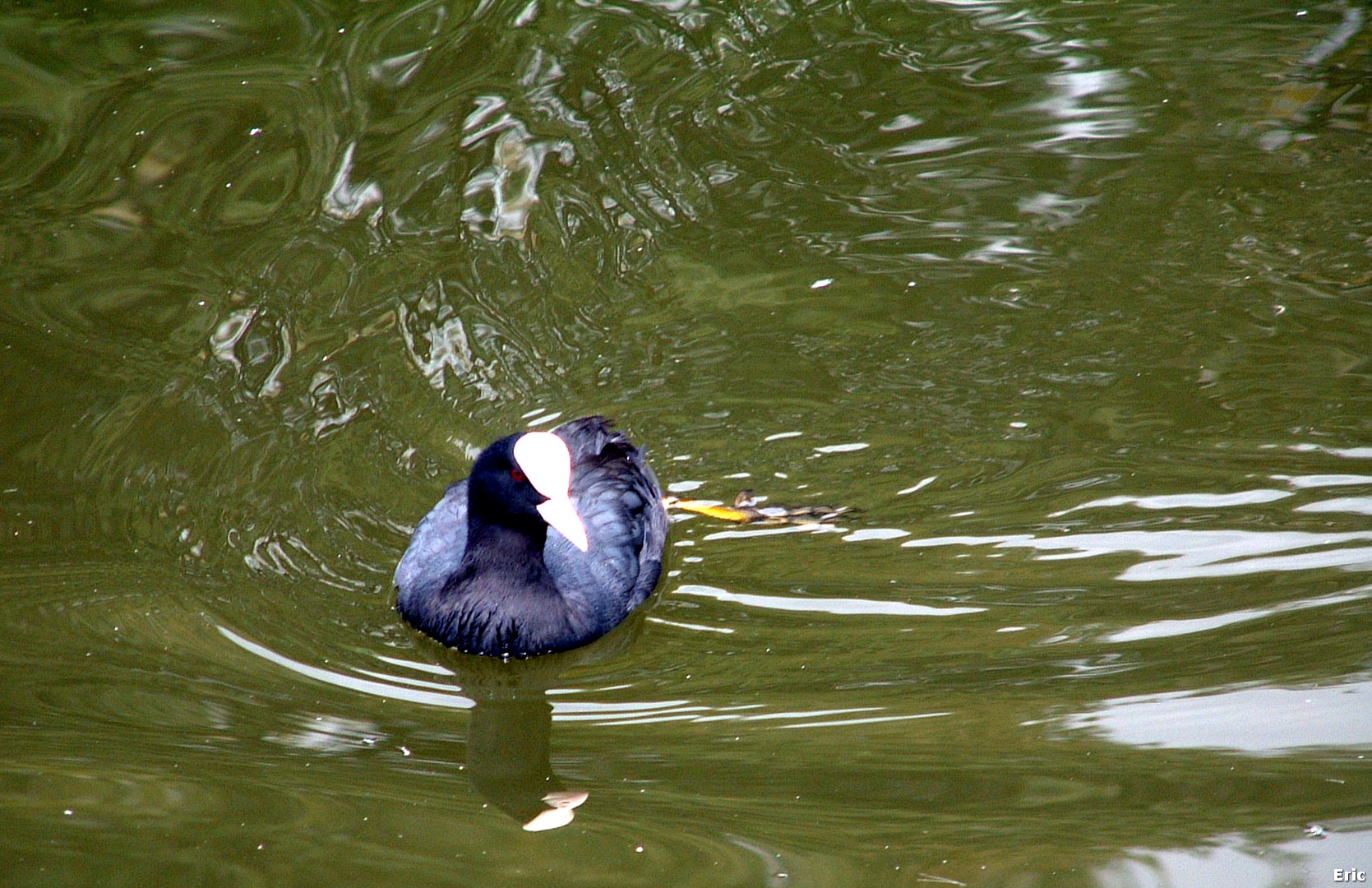 Parc et Ch�teau Malou