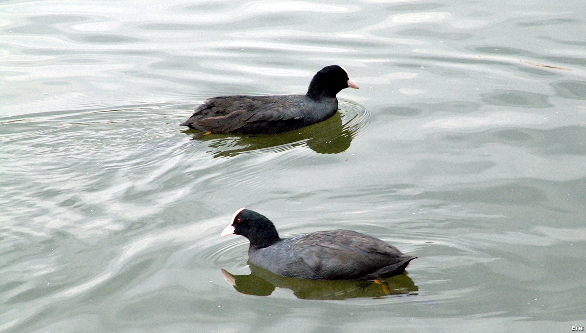 Parc et Ch�teau Malou