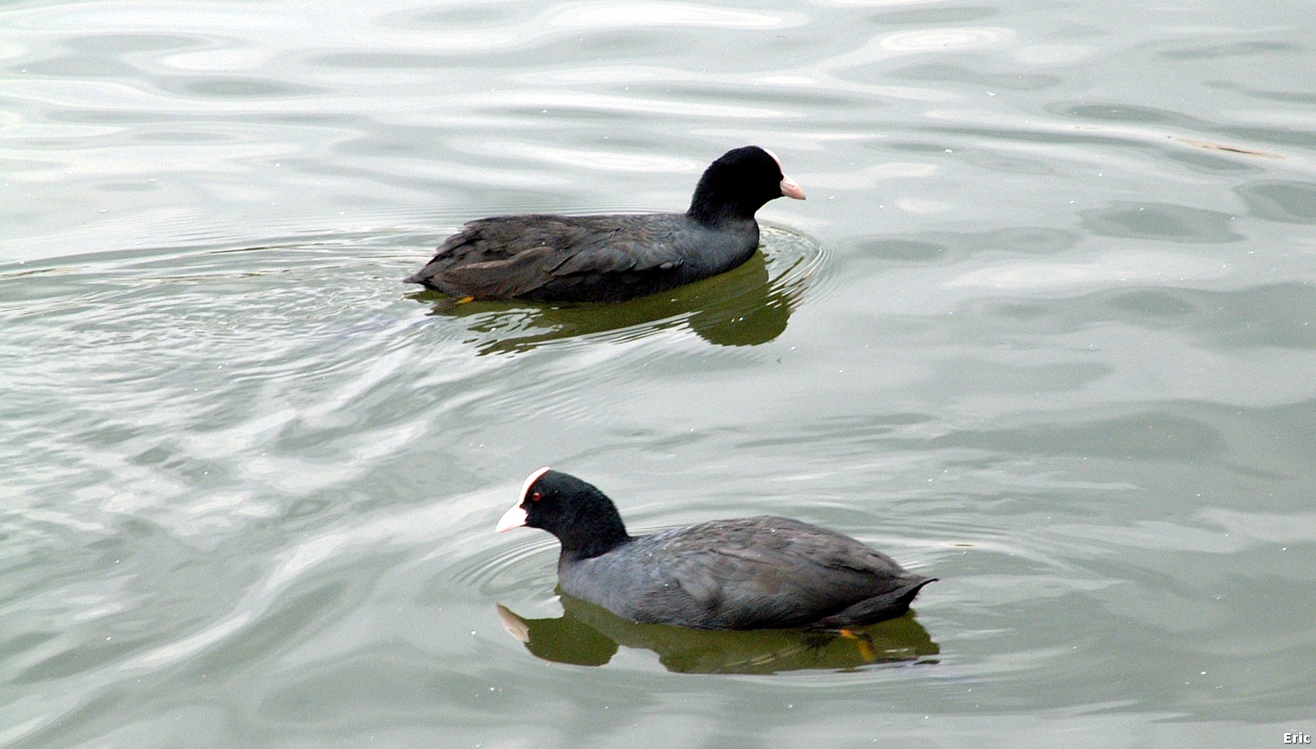 Parc et Chteau Malou