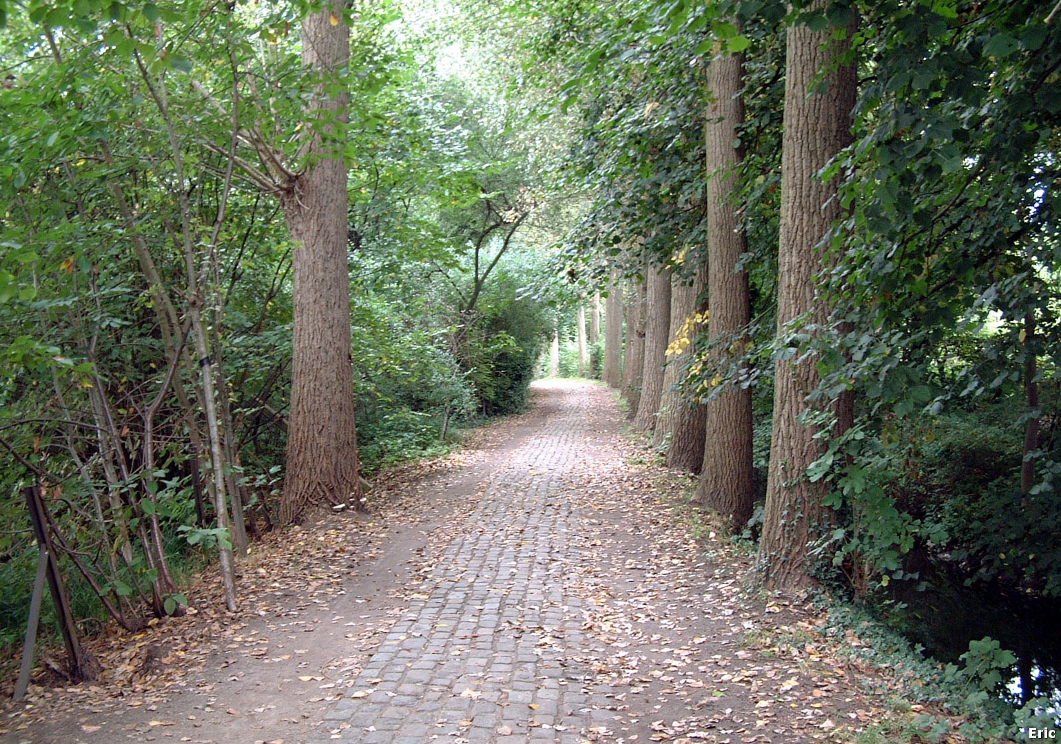 Vallée de la Woluwe