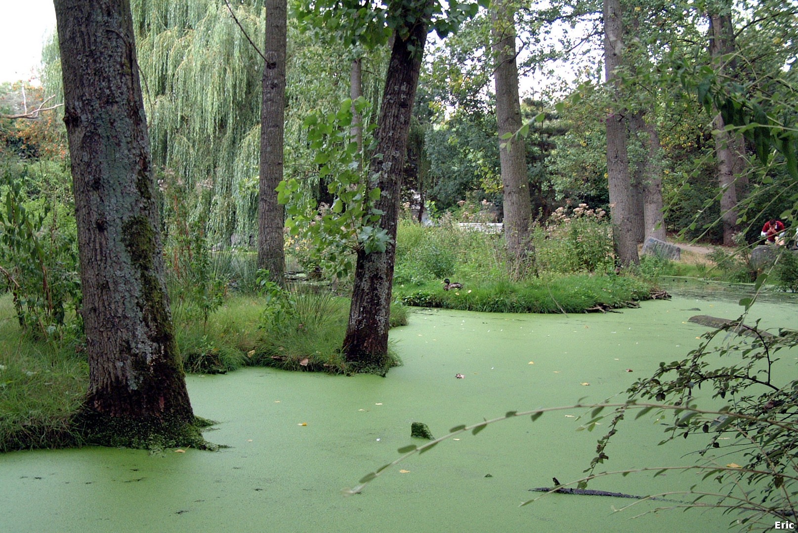 Vallée de la Woluwe