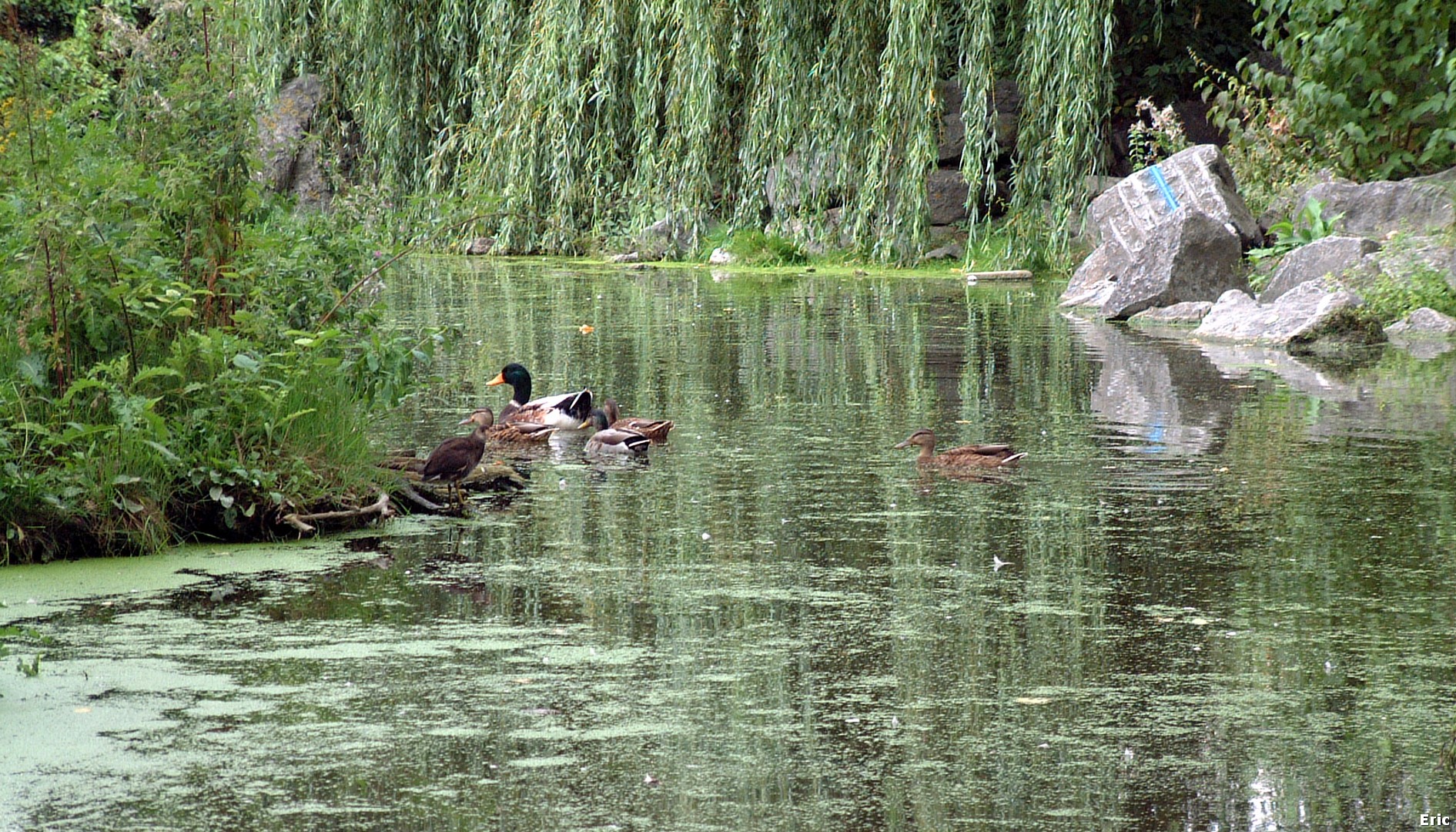 Vallée de la Woluwe