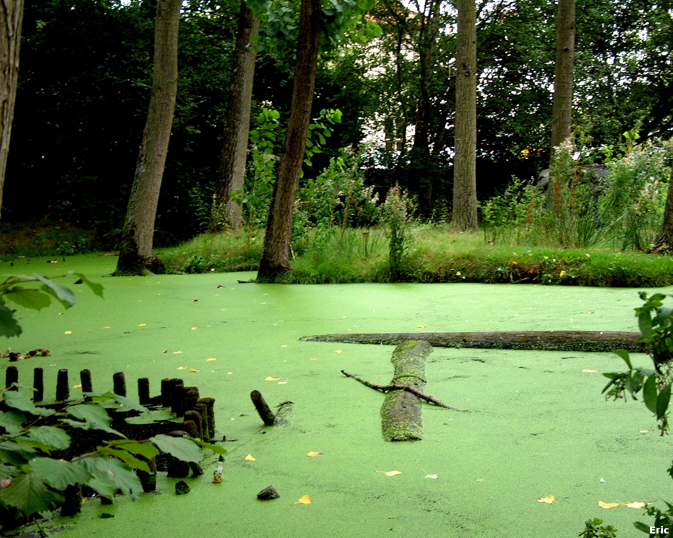 Vallée de la Woluwe