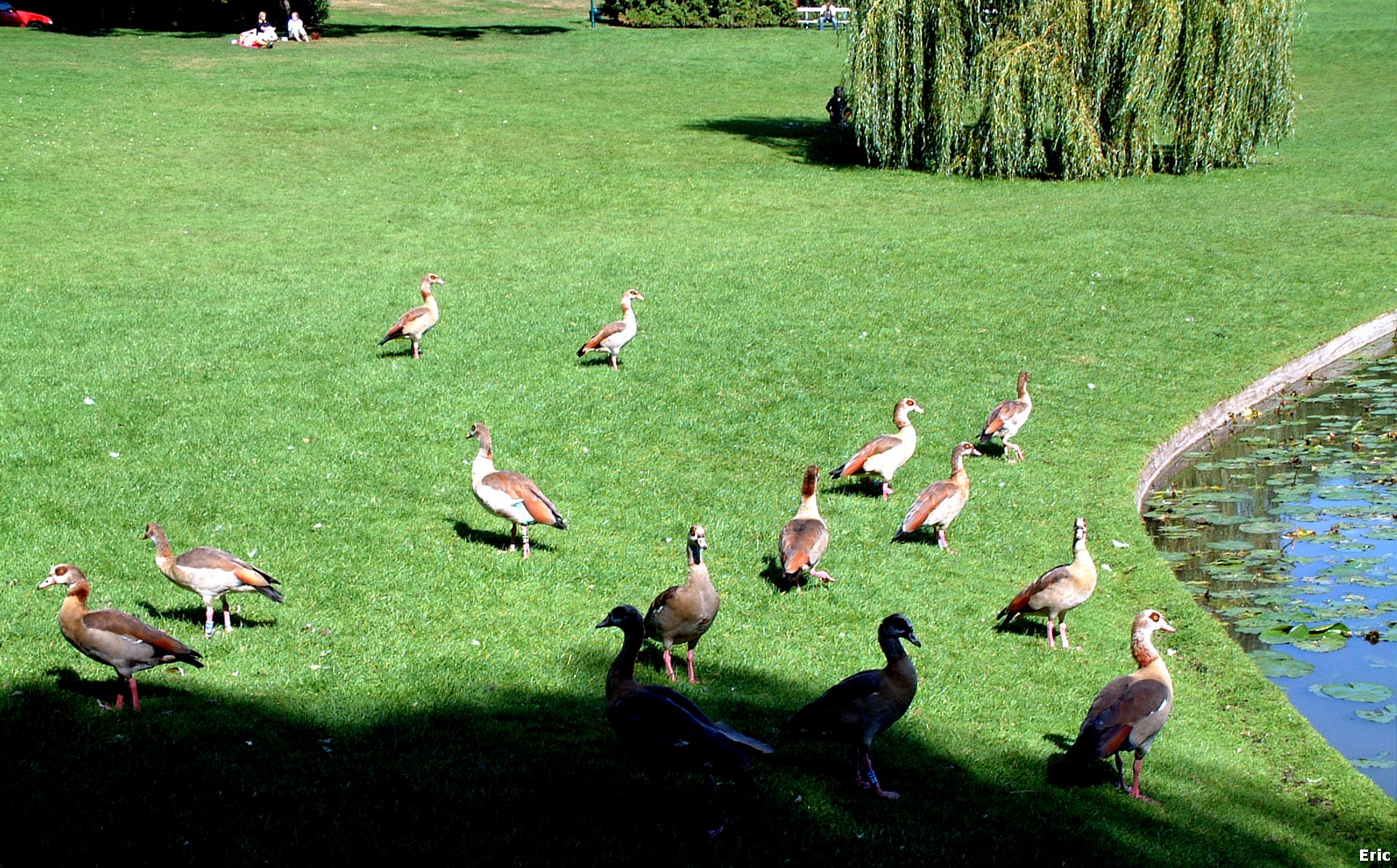 Parc de Woluwé