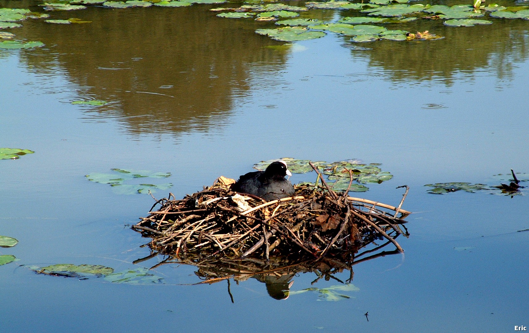 Parc de Woluw�