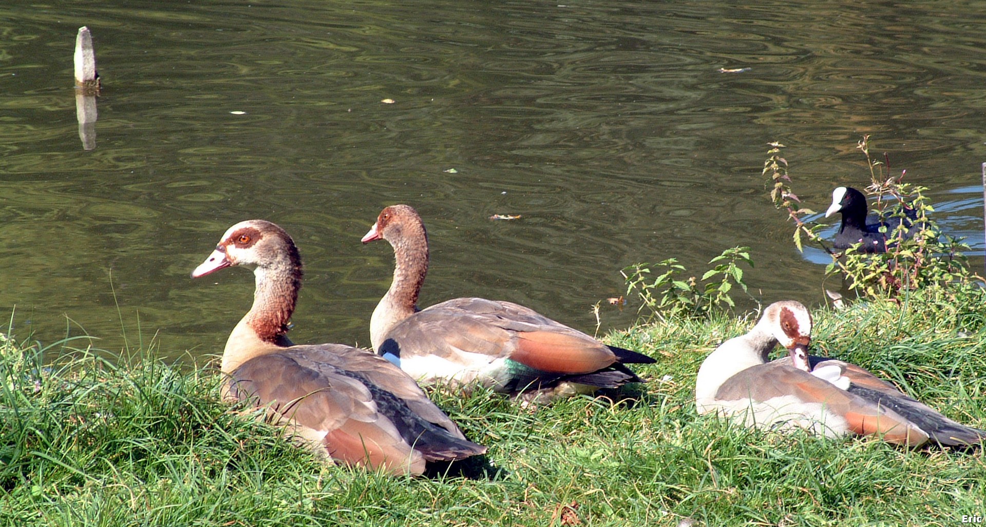 Parc de Woluwé