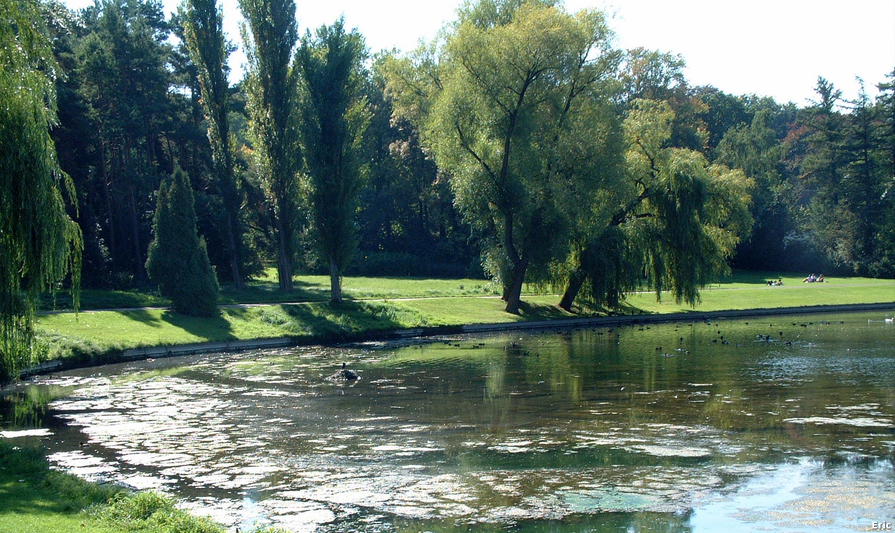 Etangs Mellaerts