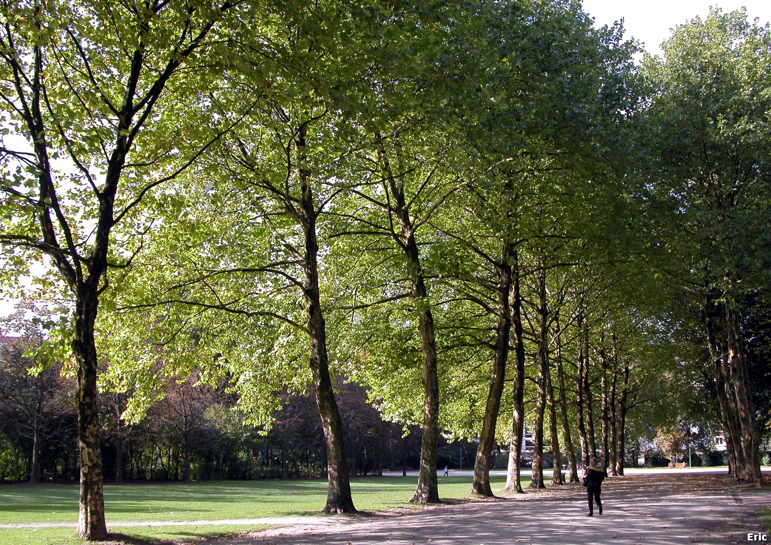 Parc du Cinquantenaire