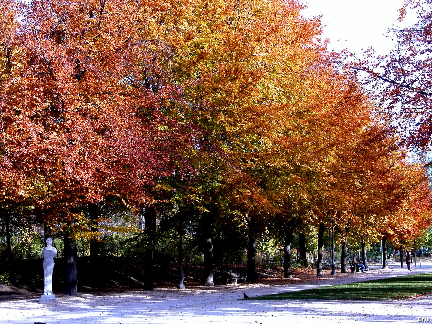 Parc de Bruxelles